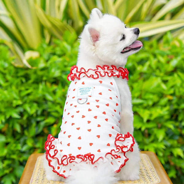 Chic Floral Pet Dress