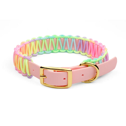 Colorful Dog Walking Set