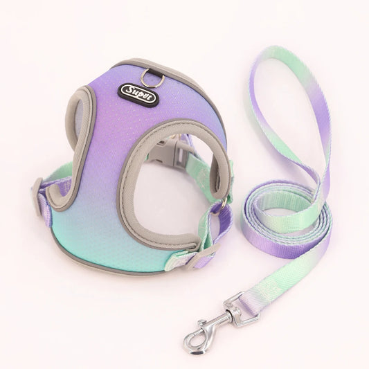 Reflective Pet Harness with leash set