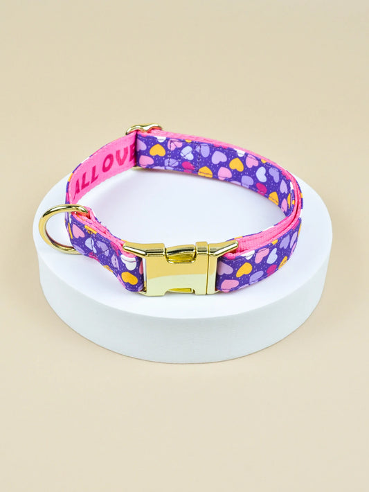 Pet Collar Double Sided Printed
