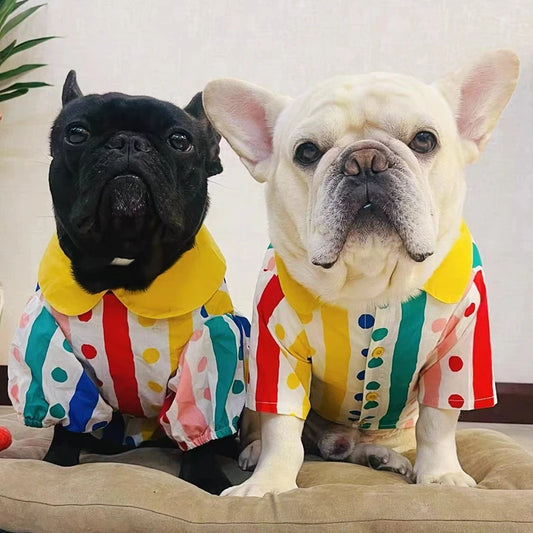 Stylish Pooch Summer Shirt