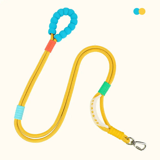 Hands-Free Dog Walking Belt