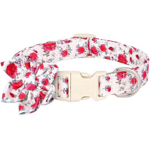 Floral Charm Dog Collar