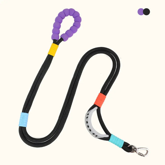 Hands-Free Dog Walking Belt