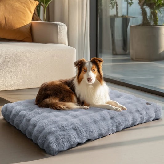 Cozy Dreams Pet Bed
