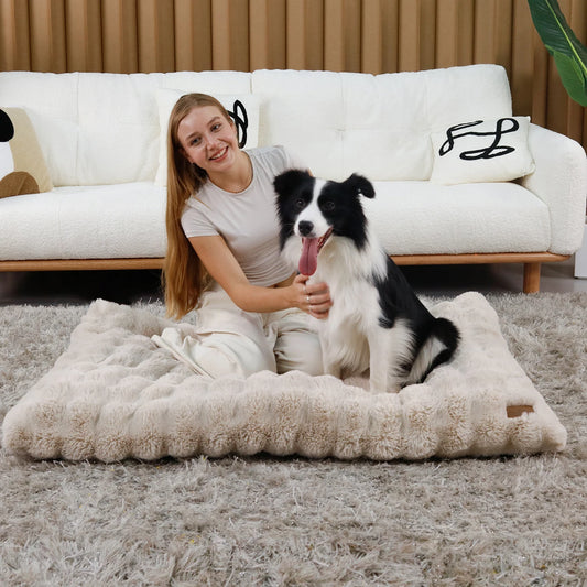 Cozy Dreams Pet Bed
