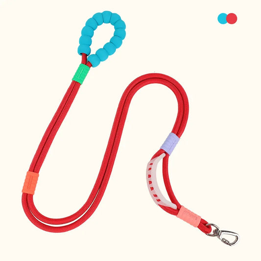 Hands-Free Dog Walking Belt