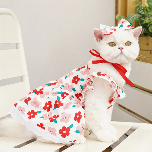 Summer Charming Cat Dress Set