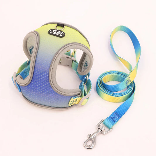 Reflective Pet Harness with leash set