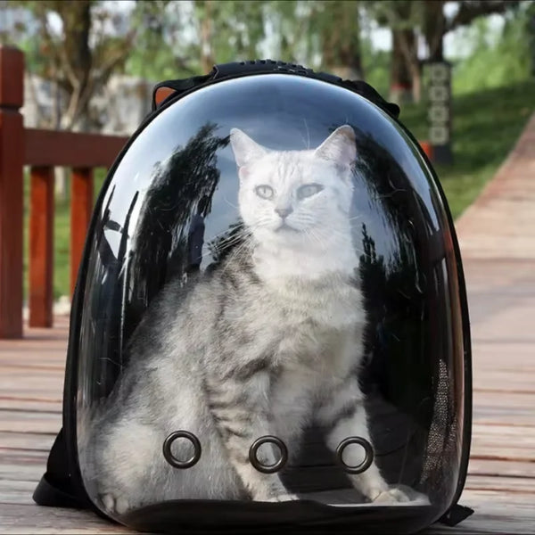 Breathable Cat Travel Backpack