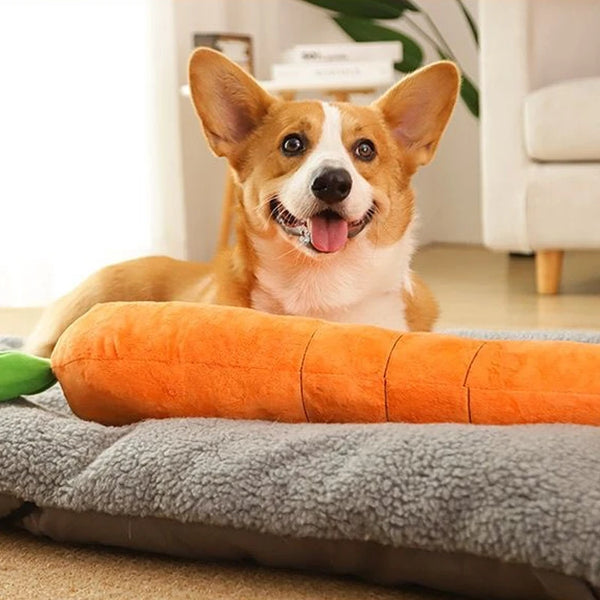 Carrot Plush Chew Toy for Dogs