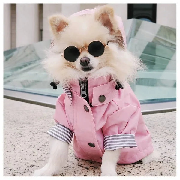 Waterproof Pet Adventure Jacket