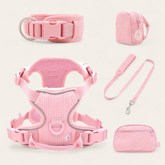 Stylish Pink Dog Harness Set