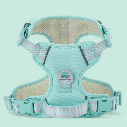 Comfort Fit Dog Harness