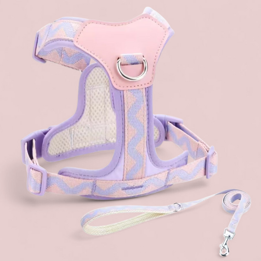 Reflective Dog Harness Vest+Leash Set