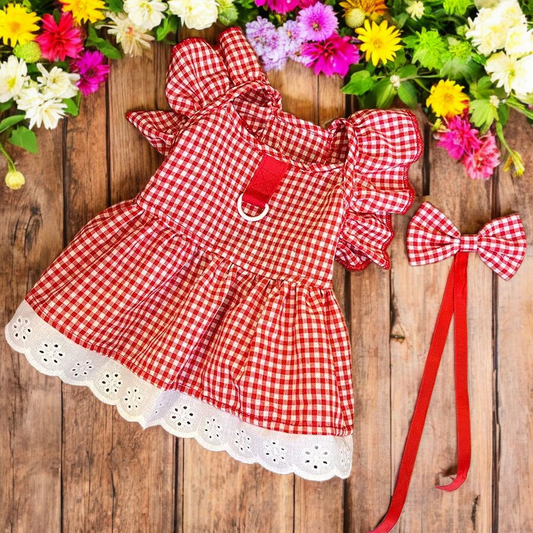 Summer Charming Cat Dress Set