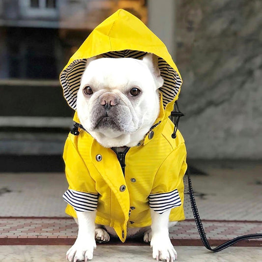 Waterproof Pet Adventure Jacket