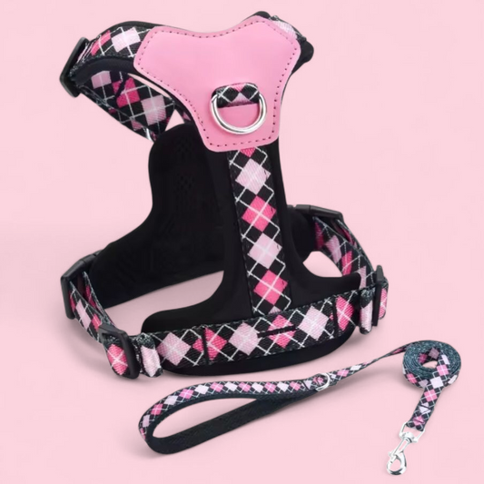 Reflective Dog Harness Vest+Leash Set