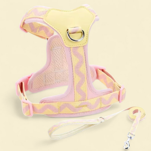 Reflective Dog Harness Vest+Leash Set